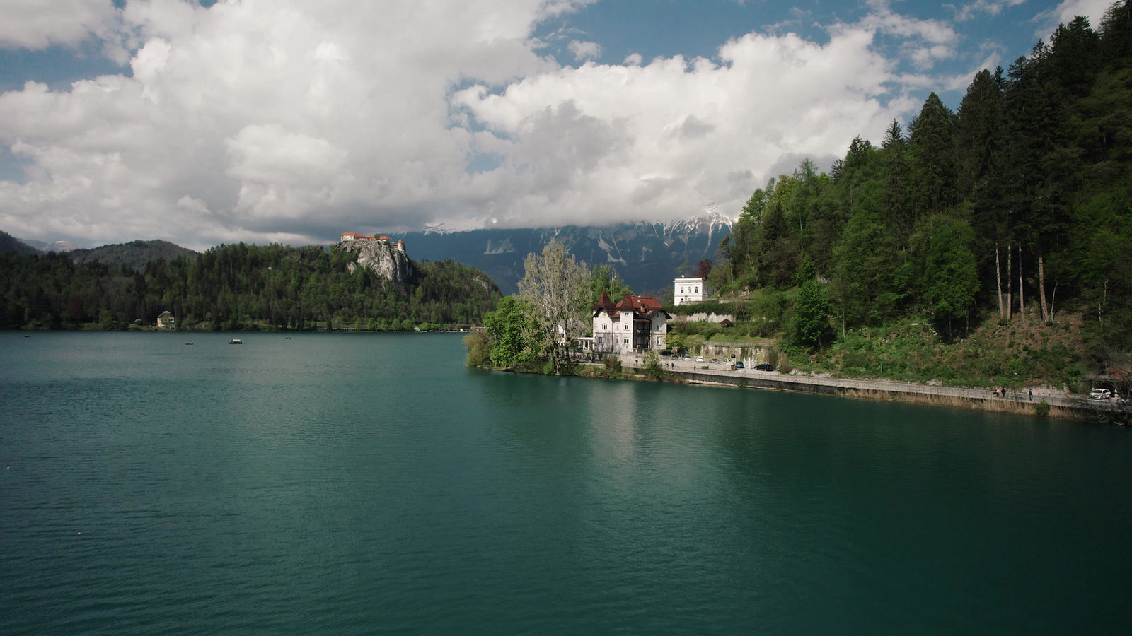 Villa Adora historic villa beside Lake Bled